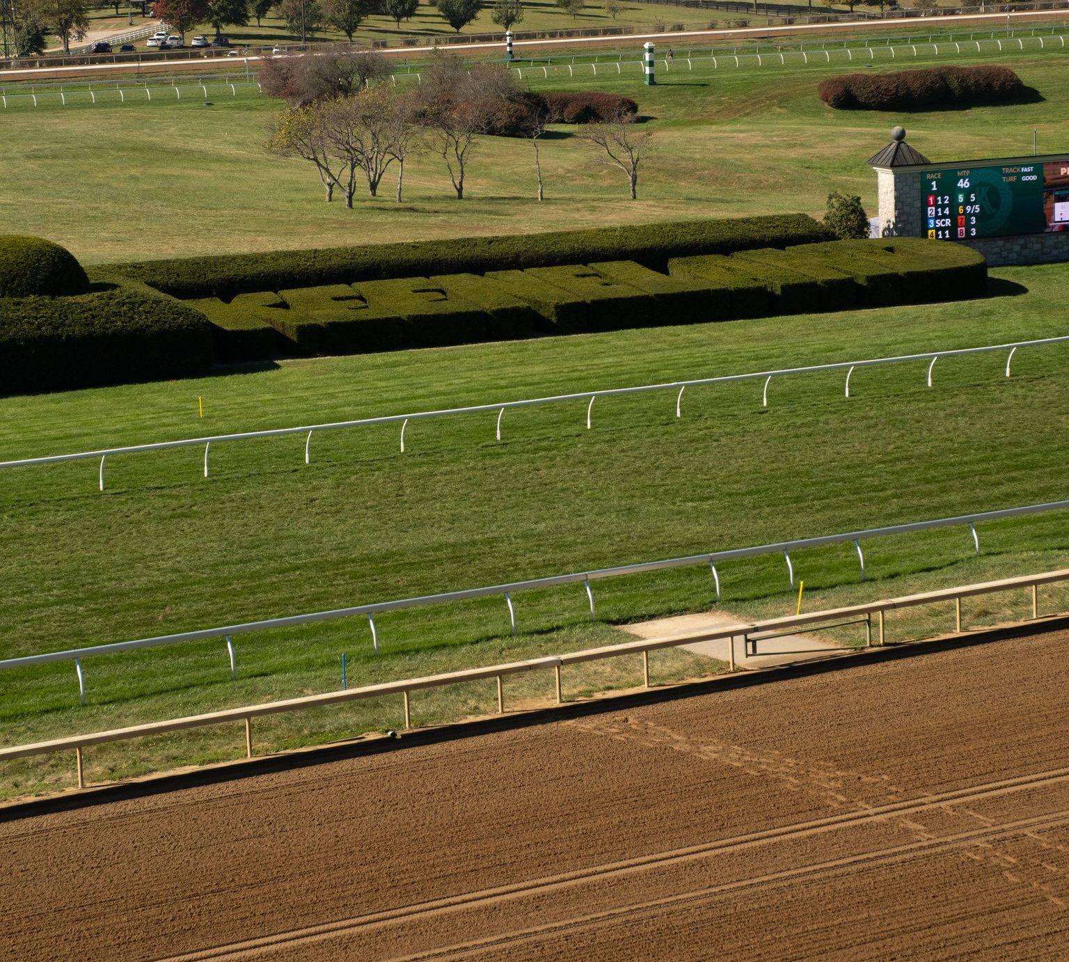 Dirt and turf courses at a racetrack
